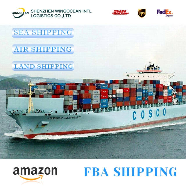 Gold Service Sea Freight Shipping Reliable Shipping Agent From Shenzhen to Worldwide