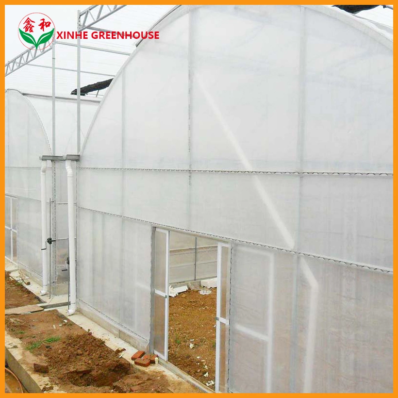 Professional Manufacturers Agriculture Intelligent Film Greenhouse