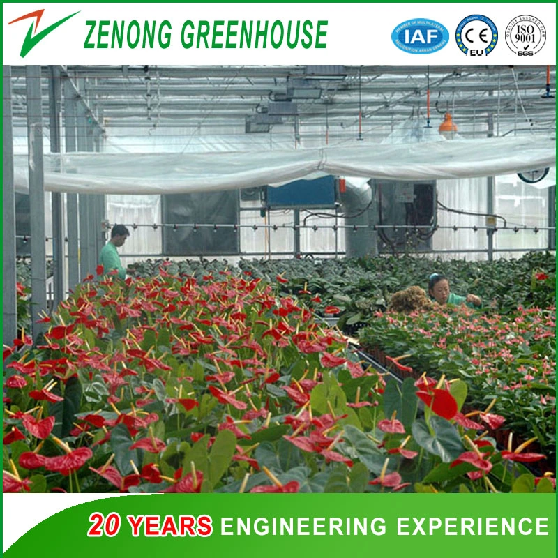 Beautiful Glass Greenhouse with Cooling System for Elegant Flower Cultivation/Commercial/Agricultrual Usage