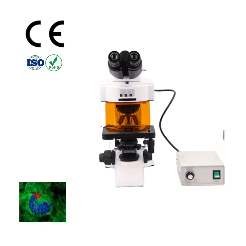 Microscope Soldering Binocular Fluorescence Microscope for Microscopes Low Price