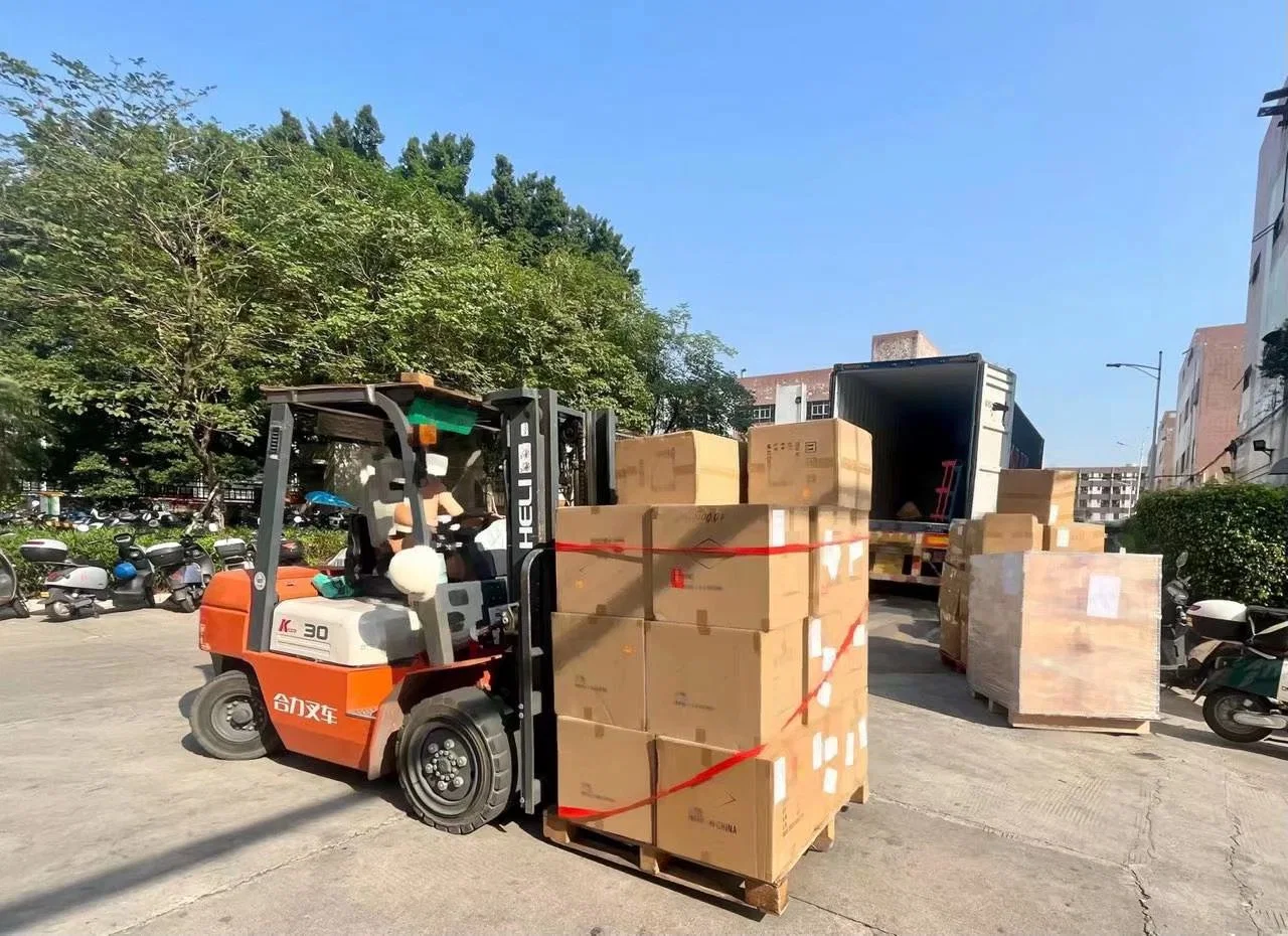 Freight Forwarder Sea Cargo Shipment Service From China to Poland