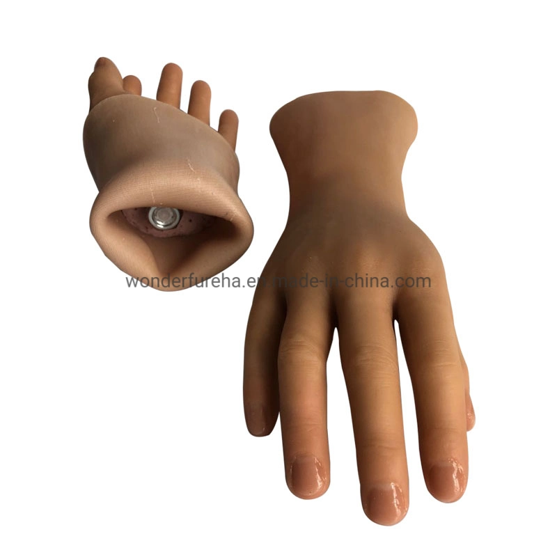 Prosthetic Limbs Artificial Hand Orthopedic Implants Artificial Prosthetic Silicone Hand