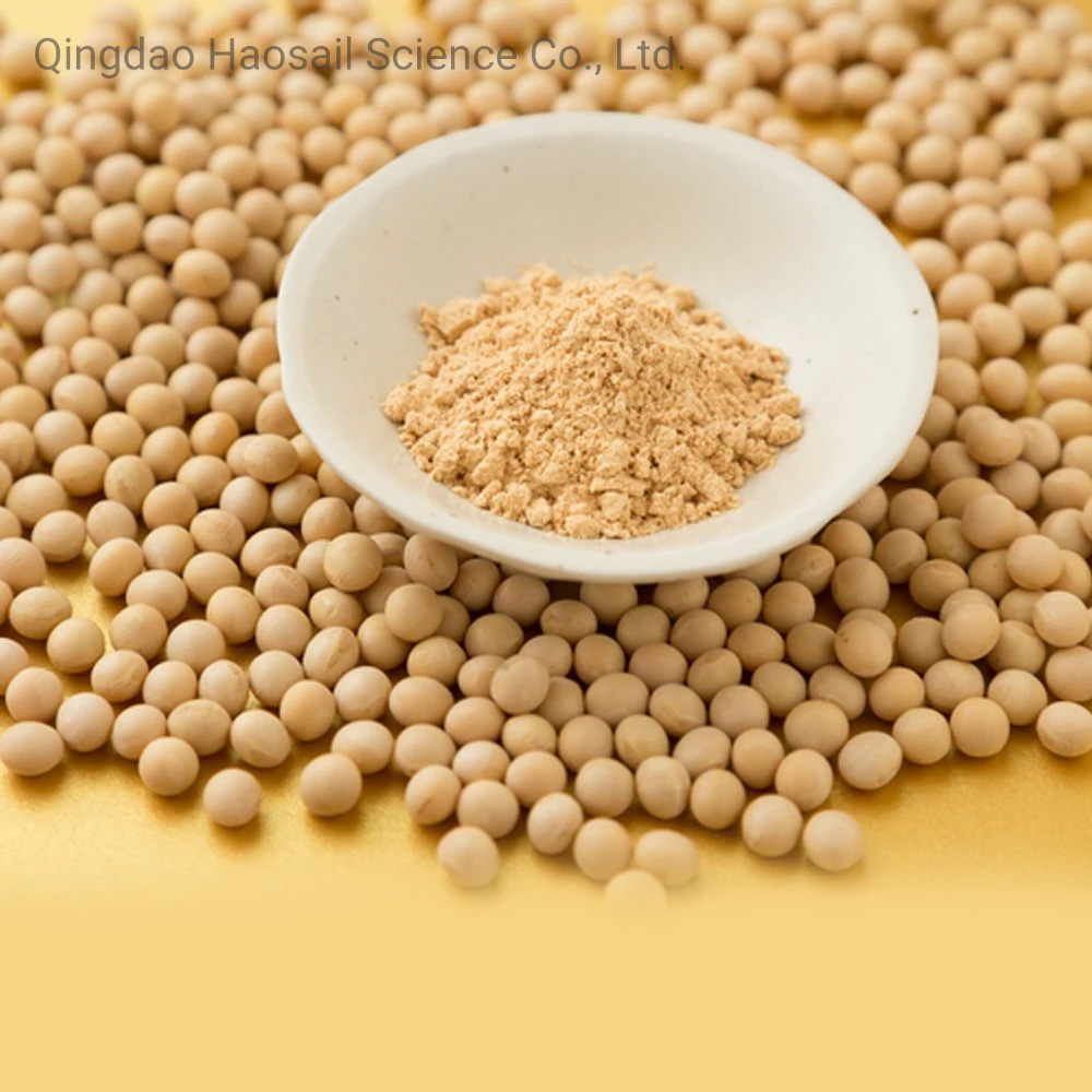 Manufacture Bulk Protein Powder Organic Protein Pea Protein