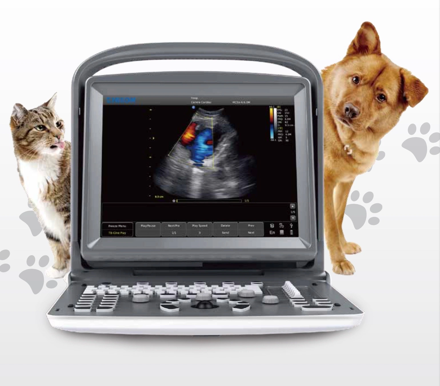 Chison Eco3exp Color Portable Doppler Ultrasound Machine Veterinary Ultrasound Scanner