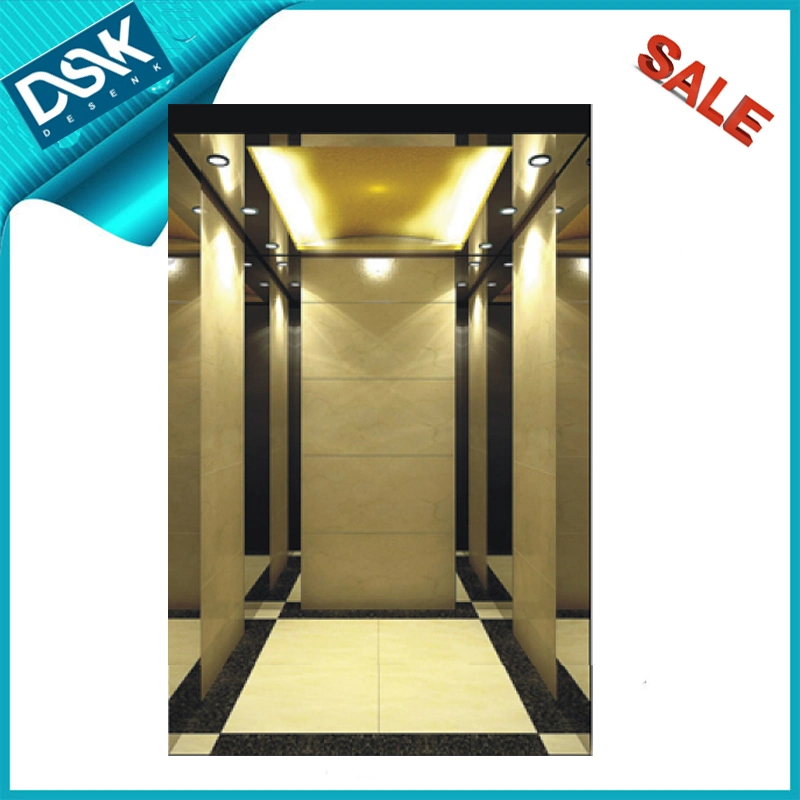 Small Machine Room Passenger Elevator Home Elevator Commercial Elevator with Good Elevator Parts