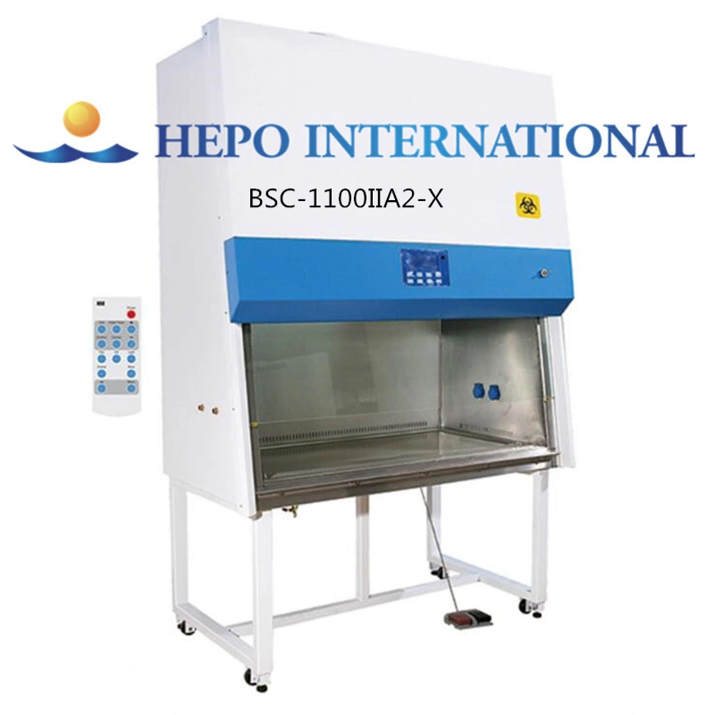 China Laboratory Air Exhaust Class III Biological Safety Cabinet (BSC-1100IIIX)