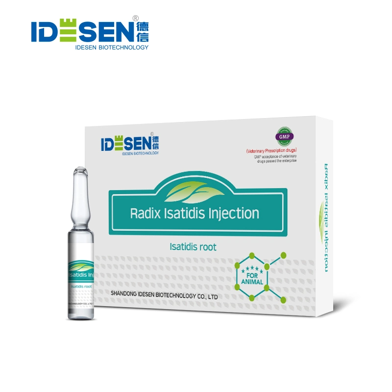 Radix Isatidis Injection Green Natural Chinese Herbal Medicine GMP Manufacturer