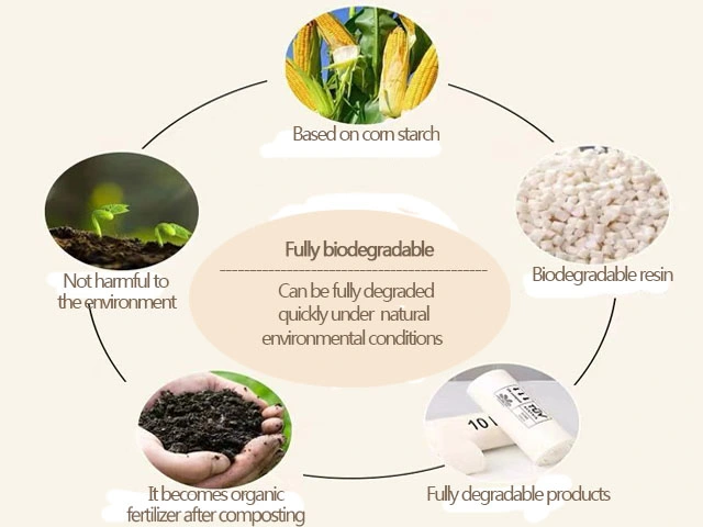 China Bio Degradable PLA Plastic Pellets Masterbatch for Blowing Mold