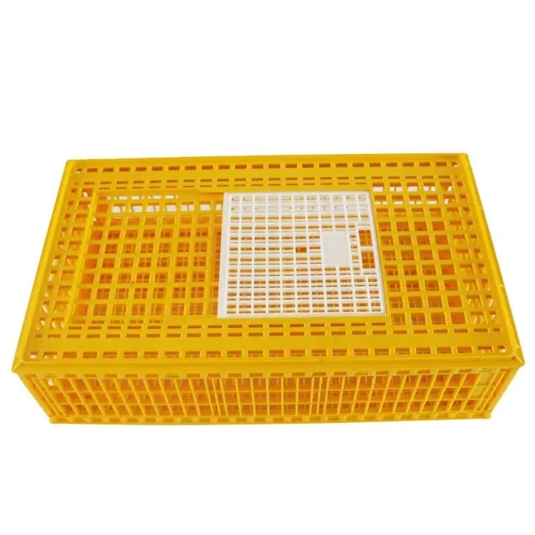 Best Selling Chicken/Broiler plástico Transporte Crate/Cage/Box