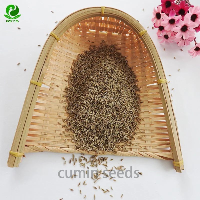 High quality/High cost performance  Nature Cumin Seeds Wholesale/Supplier