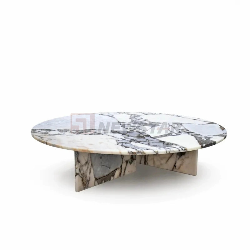 Table basse moderne en travertin simple, meuble de salon en marbre naturel, table d'appoint ronde, table basse en marbre Calacatta Viola