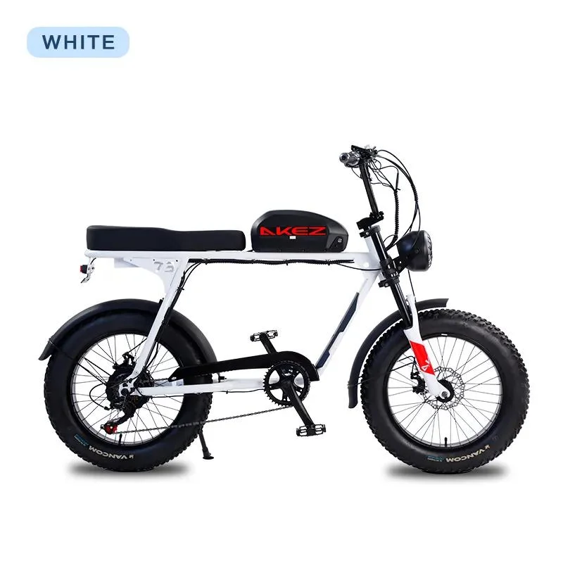 2023 New Super Long Range Fat Tire Chopper Electric Bike City Mountain E Bike