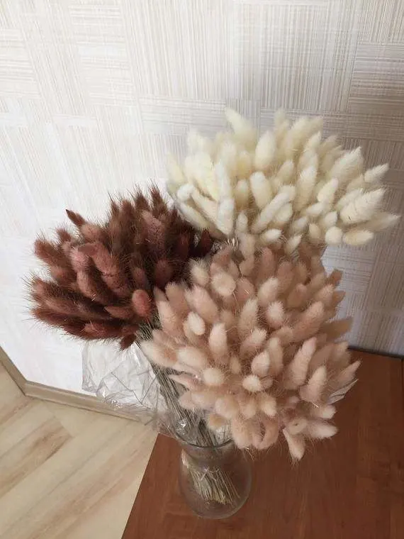 Home Decoration Dry Flower Artificial Flower Arrangements Small Bunny Tail Pampass Grass Bunny Tail Dried Flower and Plants Dried Flowers for Bouquet Home Decor