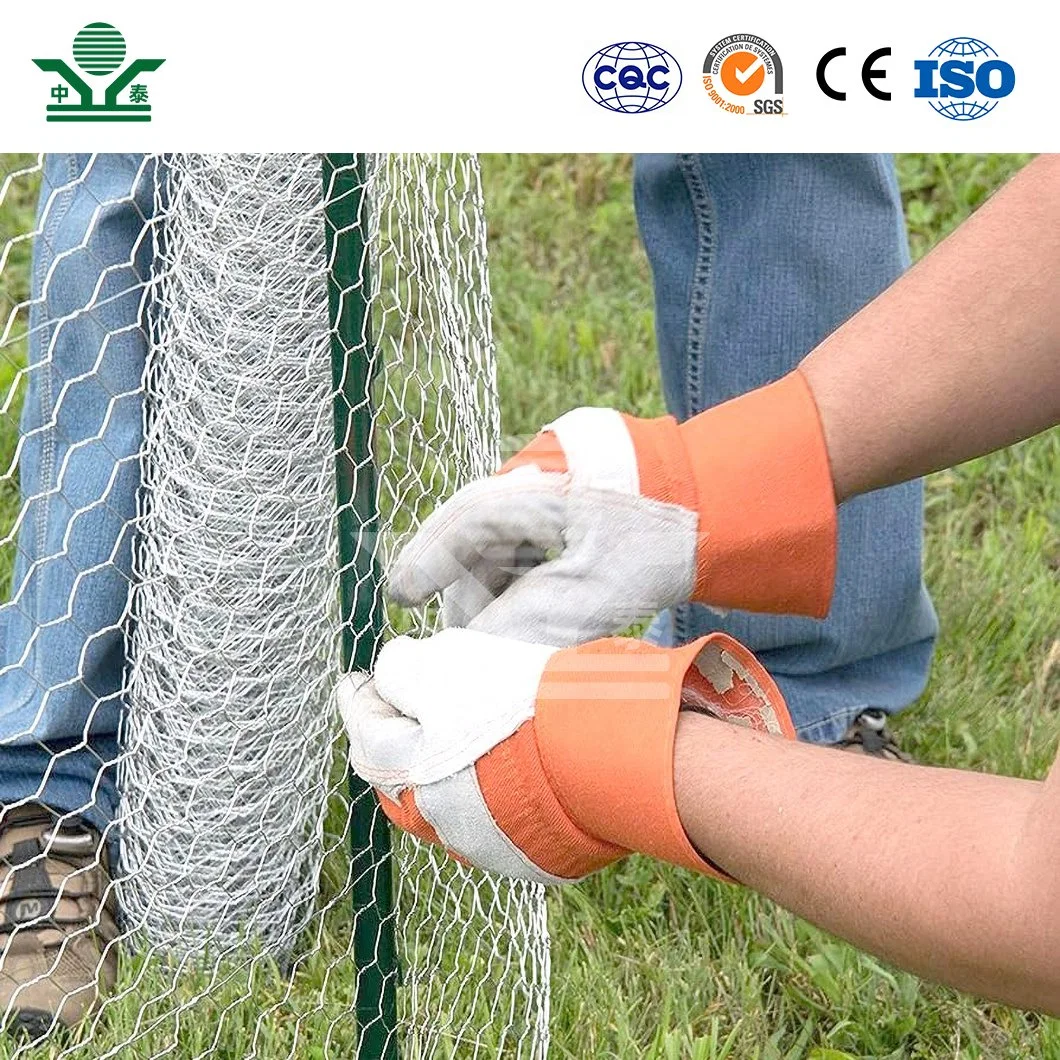 Zhongtai Hexagonal Wire Mesh 2 Inch China Manufacturing 5/8 Inch Hexagonal Steel Wire Mesh Used for Green Wire Garden Fence