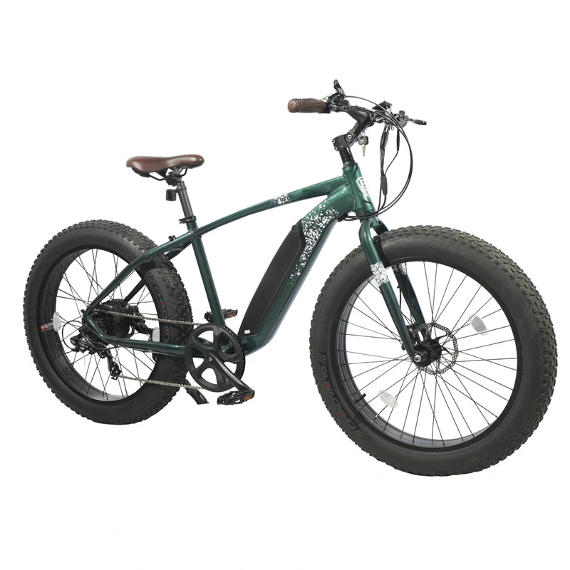 Fat Tire Electric Bike 29 Inch 1000W Us Warehouse