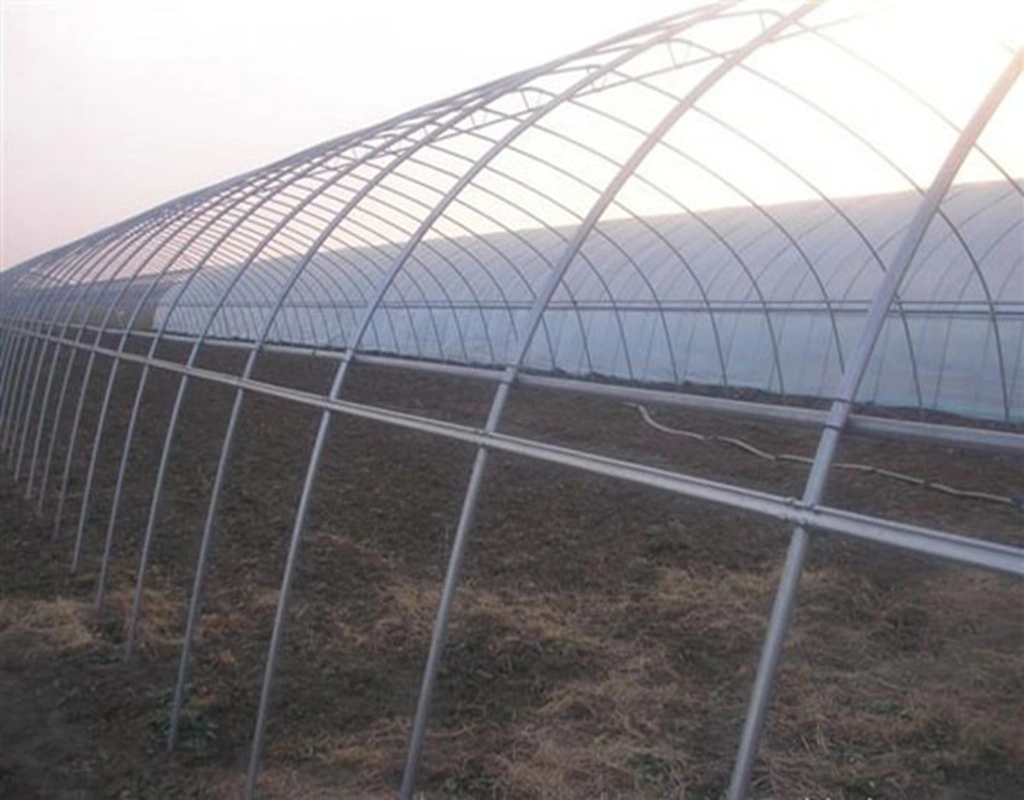 Tianjin Youfa Brand Drip Irrigation System Galvanized Pipe for Green House