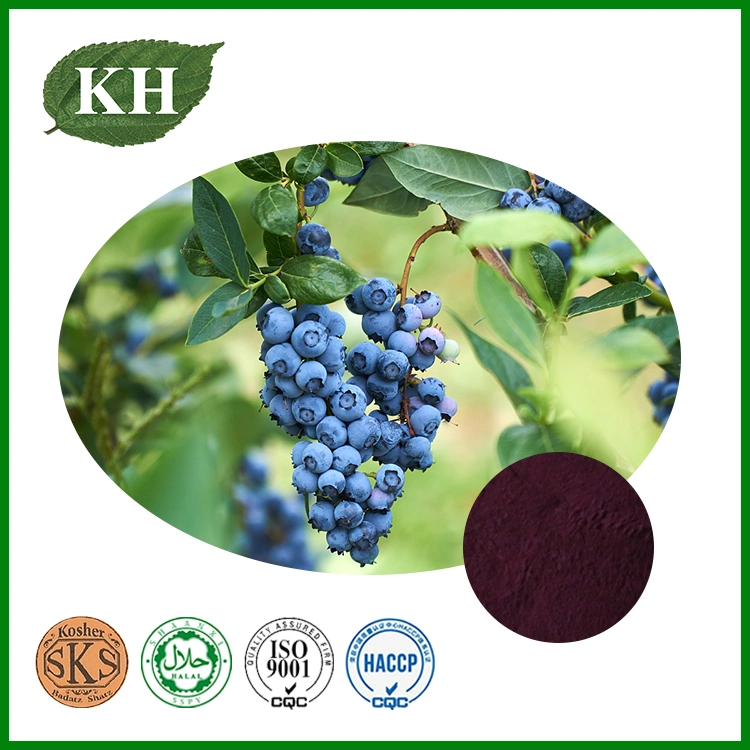 Anthocyanidin 5%~35%, Polyphenol 4%~10%, Blueberry Extract