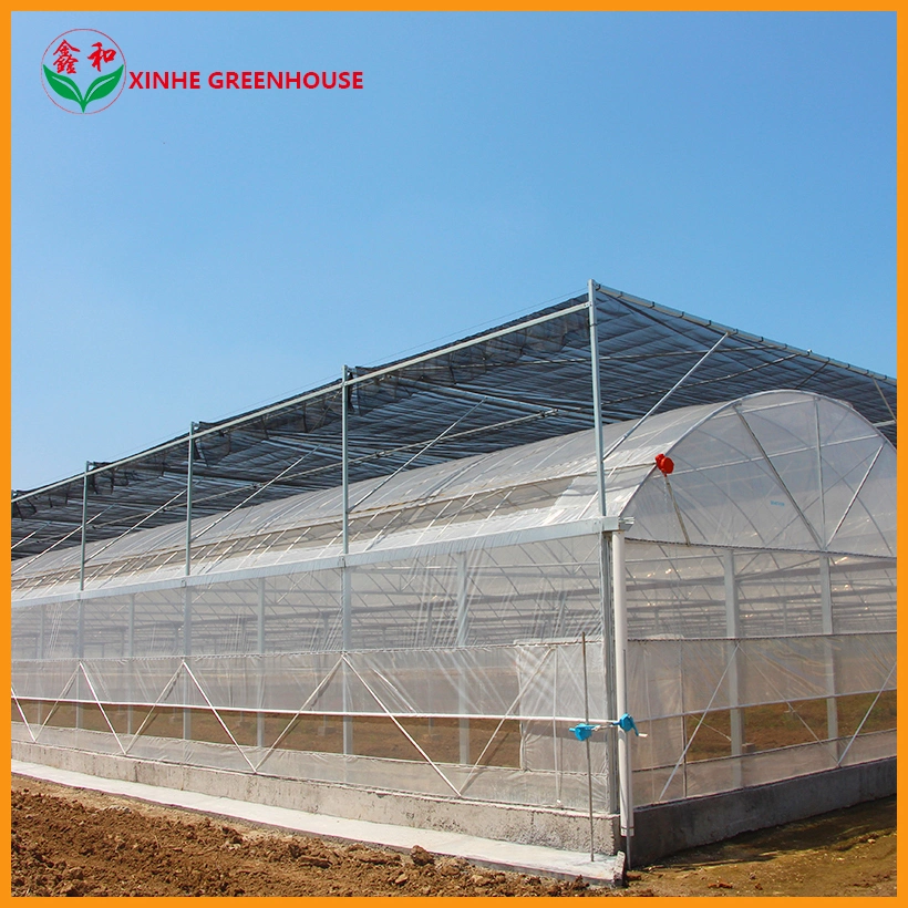 Tunnel Multi Span Warm Agro Garden Green House with Shading System