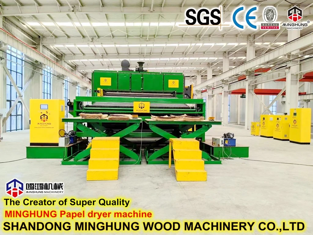 Veneer Drying Line Veneer Drying Technology for Wood Forest Machine