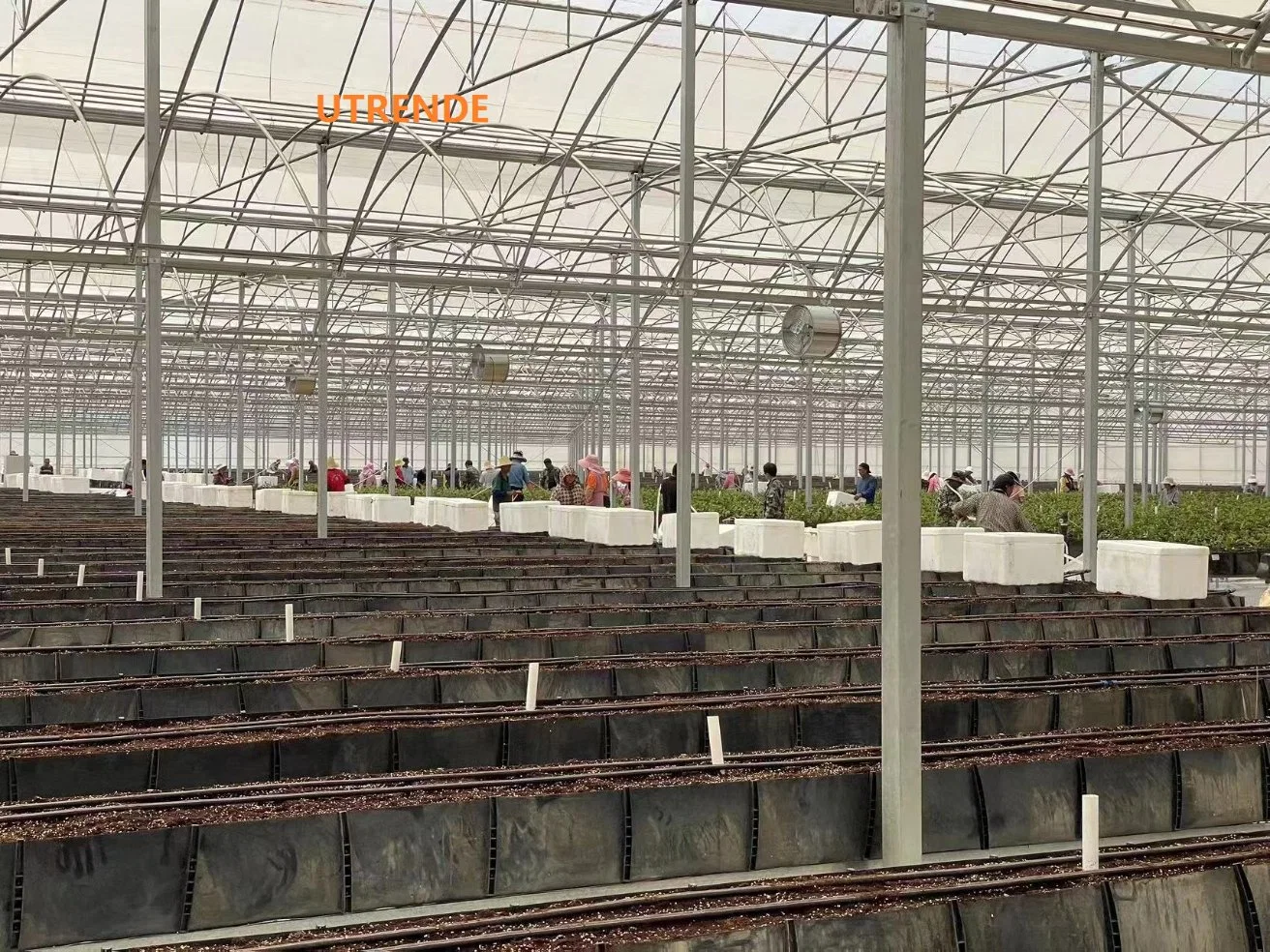 Estufa de fazenda vertical Indoor plantando calha