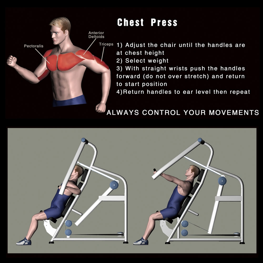 Best New Design Gym Seated Chest Press Exercise Machine Commercial Fitness Equipment