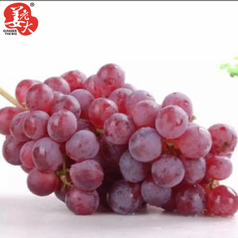 Xinjiang fresco buena calidad uvas rojas deliciosas