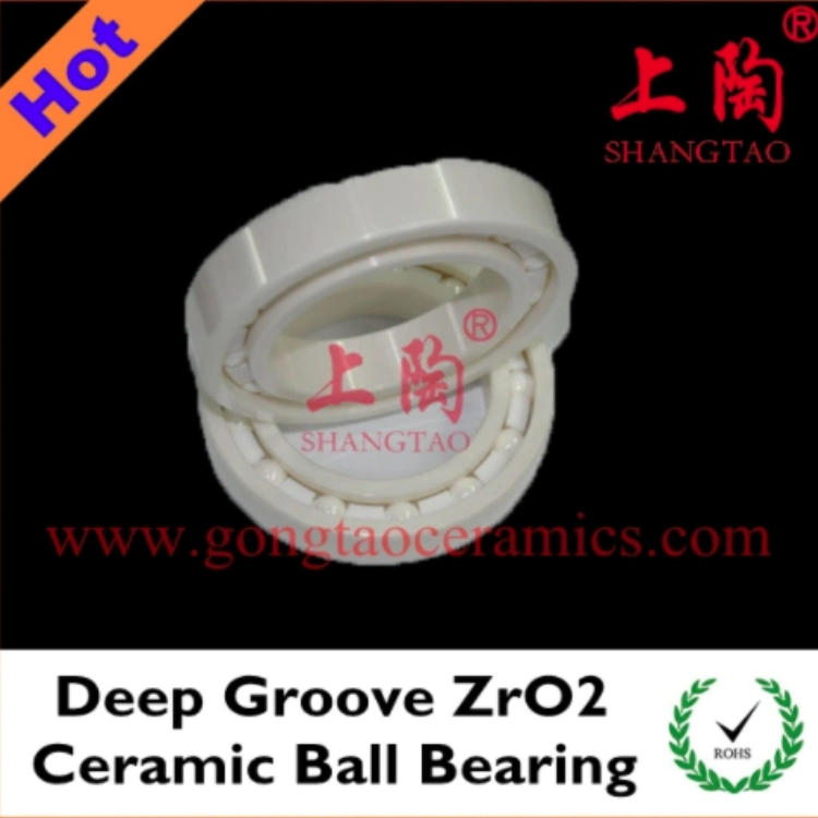 High Corrosion Resistant Zirconia Ceramic Bearings