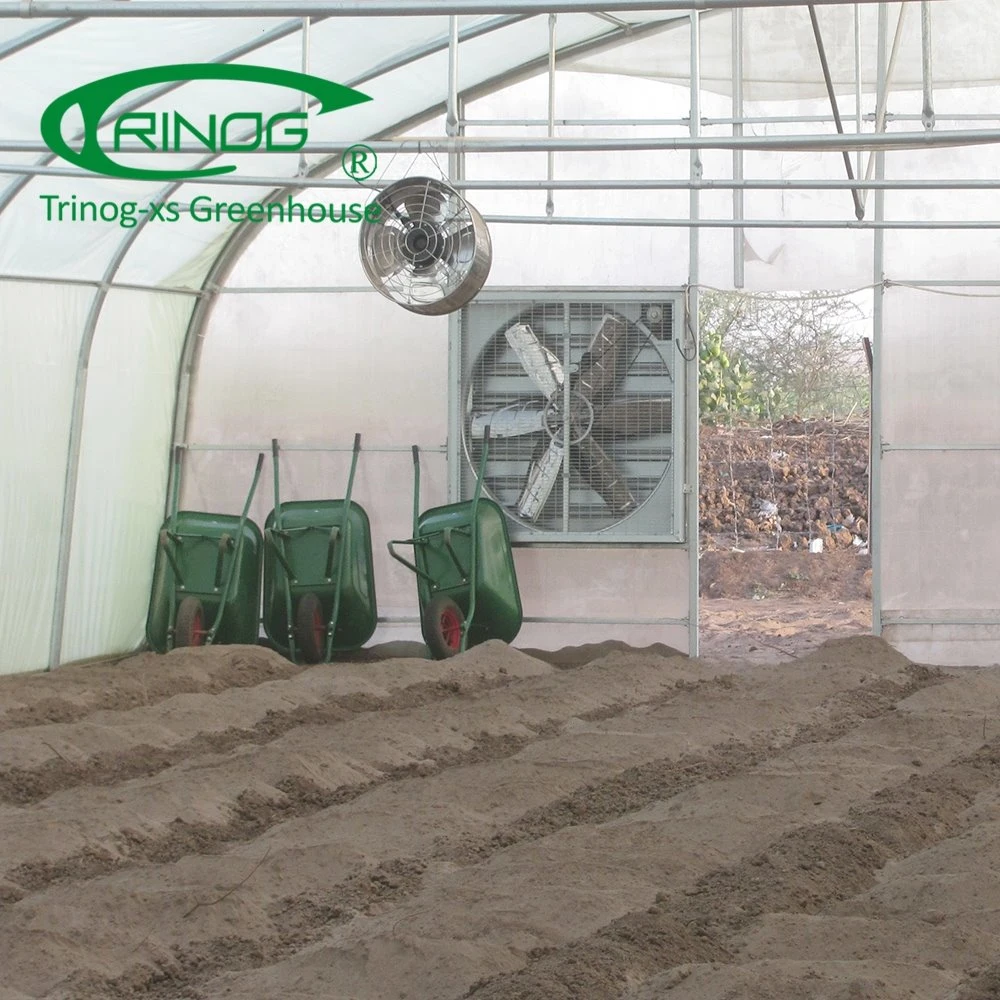 Large Single Span Film Agriculture Greenhouse