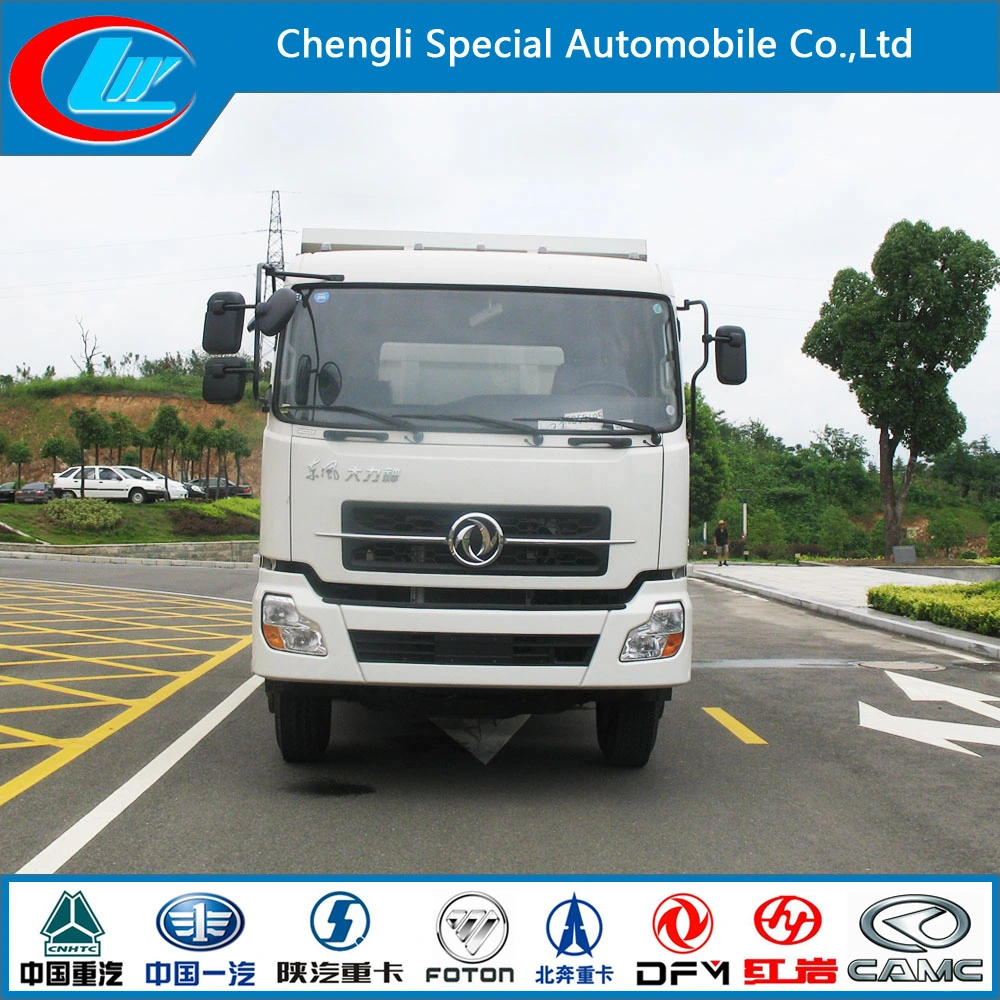 Dongfeng Dalishen 6*4 290HP Electric Dump Truck (CLW3904)