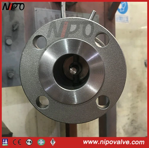 Carbon Steel Axial Flow Check Valve