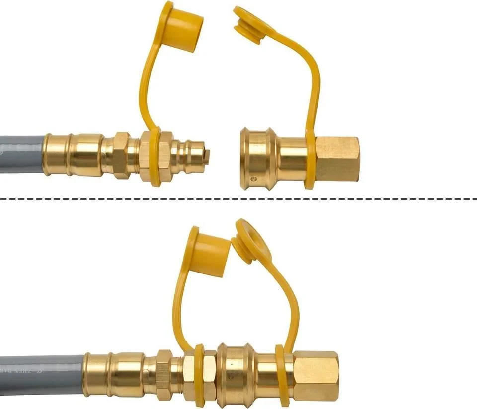 Tuyau de gaz naturel de 3/4 pouces avec kit de raccords rapides