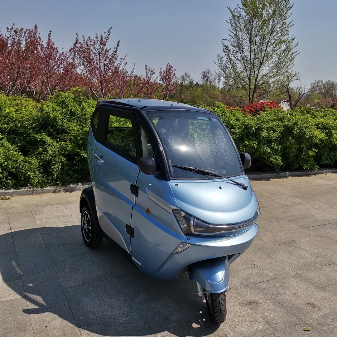 Barato 2 personas pasajero 1 plazas, Cuatro Adultos Wheeler batería coche eléctrico