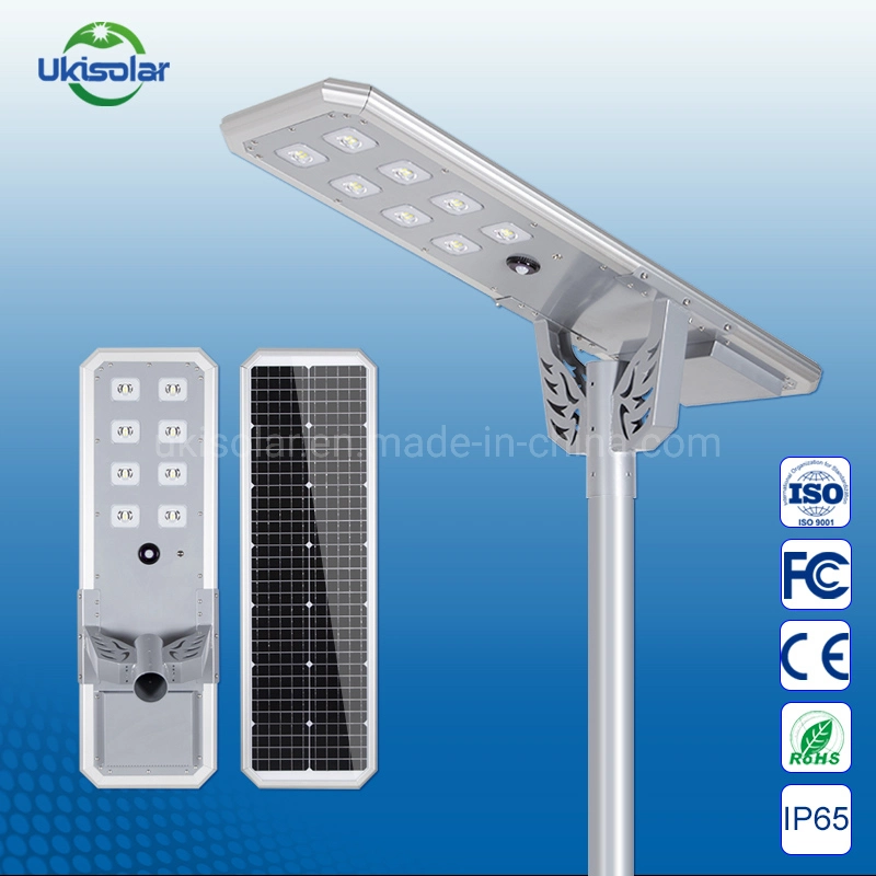 Ukisolar IP65 30W 40W 60W High Power LED Landscape Light Outdoor Lawn Light Flood Spot Light Aluminum RGB Solar Garden Lights for Architectural, Park Lighting