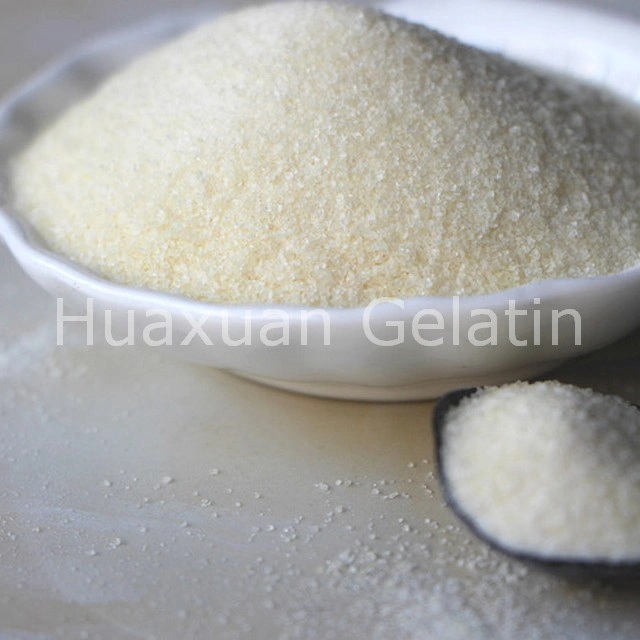 Hot Sale Food Grade Gelatin for Cheese