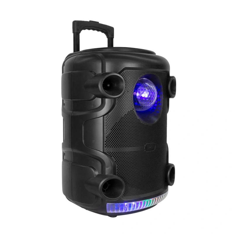 New Model 12 Inch Trolley Speaker with LED Light DJ Party Sound Box