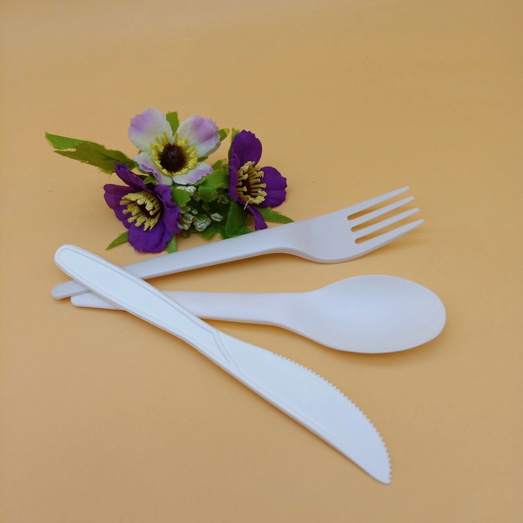 Environmentally Friendly Biodegradable PLA Disposable Tableware Set