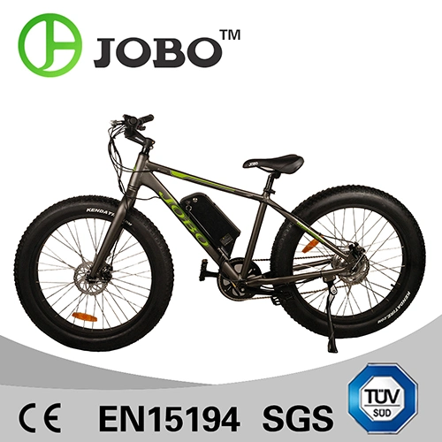 Fat Electric Bike Snow Beach Bicycle (JB-TDE00Z)