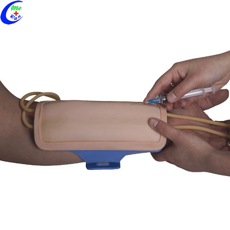 Human Body Venipuncture Training Model of Care for Medical Students