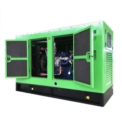 Coal Gas Generator with Low Consumption Gasifier 10kw-5MW Methane Coal Mine Bed Gas Generator