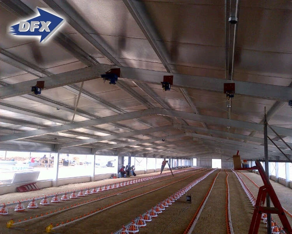 Qingdao Fabricated Steel Frame Poultry Farm House Business Plan for Chicken Shed