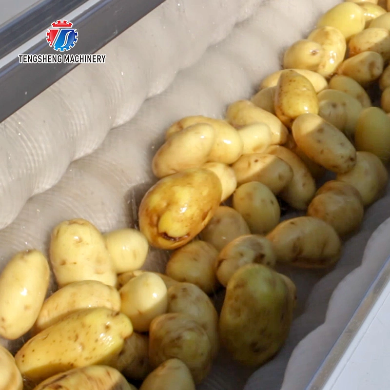 Ligne de production multifonctionnelle pour rouleaux de légumes pour cheveux, nettoyage, sélection et découpe de bulles alimentaires.