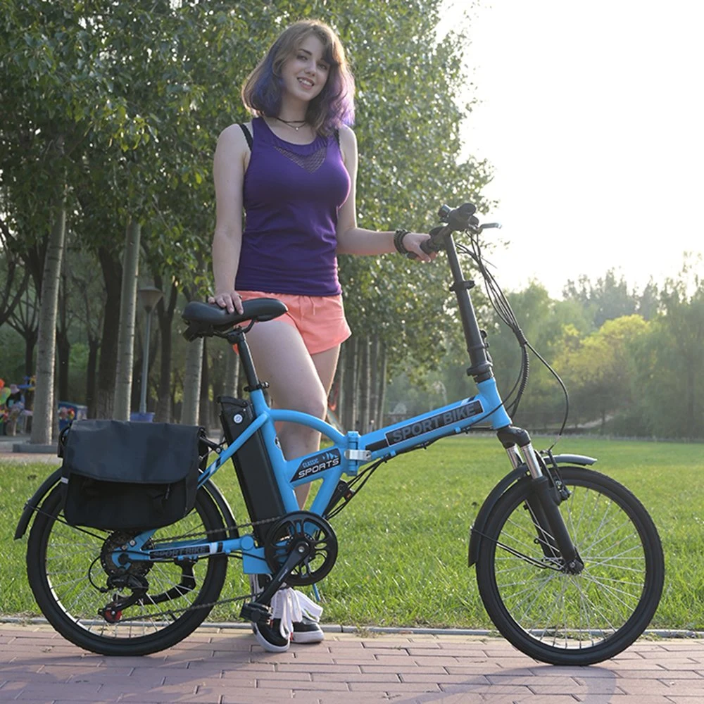 Custom Ebike Electric Bicycle 1000W 48V