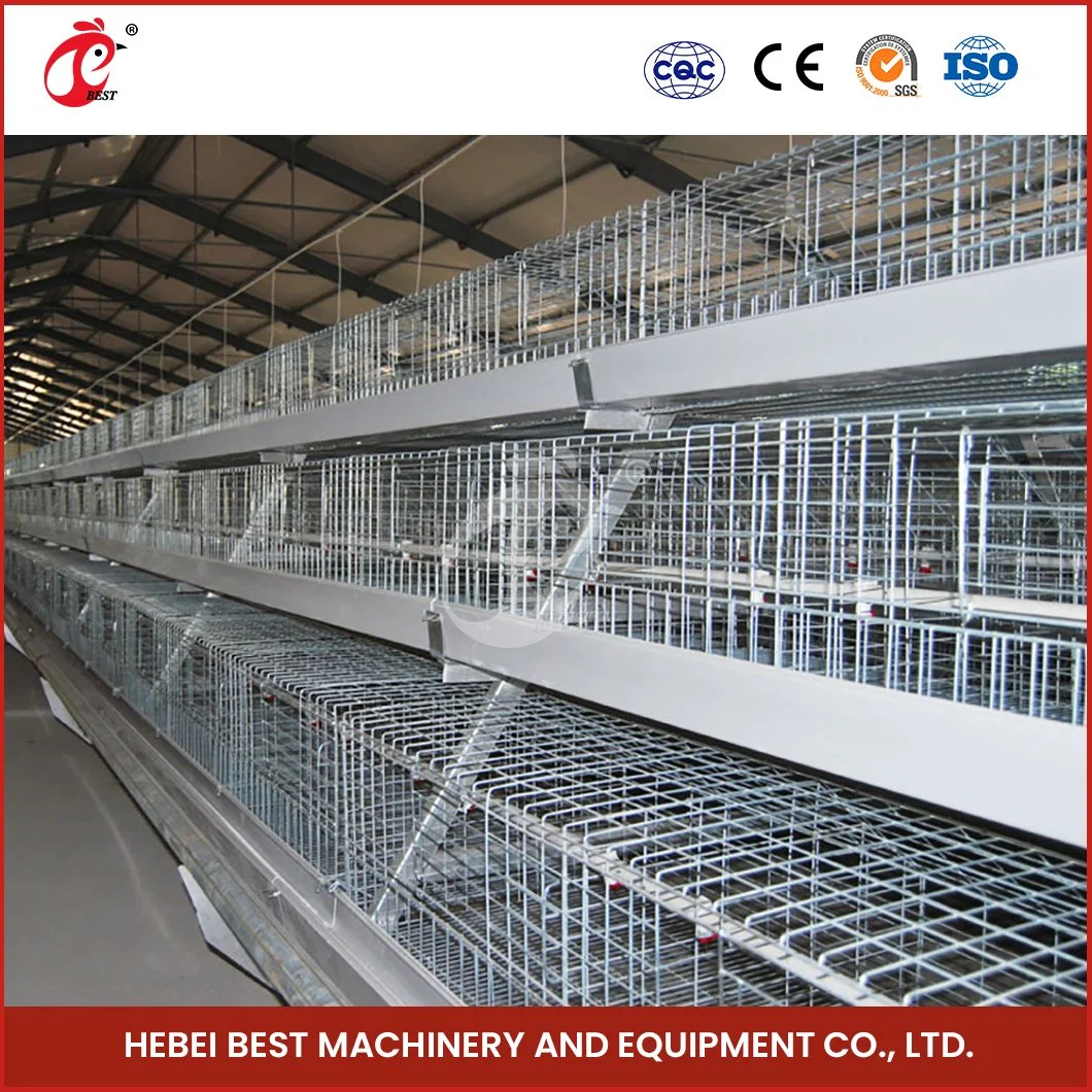 Bestchickencoage China Broiler Cage Equipment Suppliers a Frame Automatic Broiler Gaiolas de Alto-qualidade crescimento antibacteriano gaiolas de frango para venda