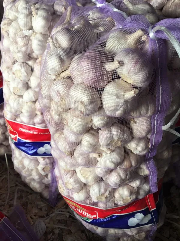 5.0cm 5.5cm 6cm Normal White Fresh Shandong Garlic