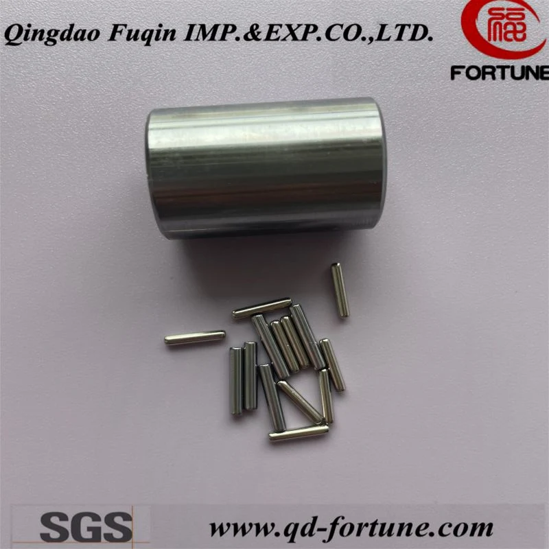 Stainless Steel Round End Needle Pin for Automotive Parts