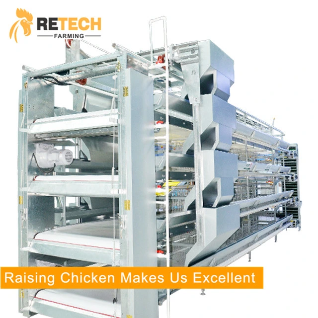 Popular H Type Layer Chicken Poultry Equipment for Sale