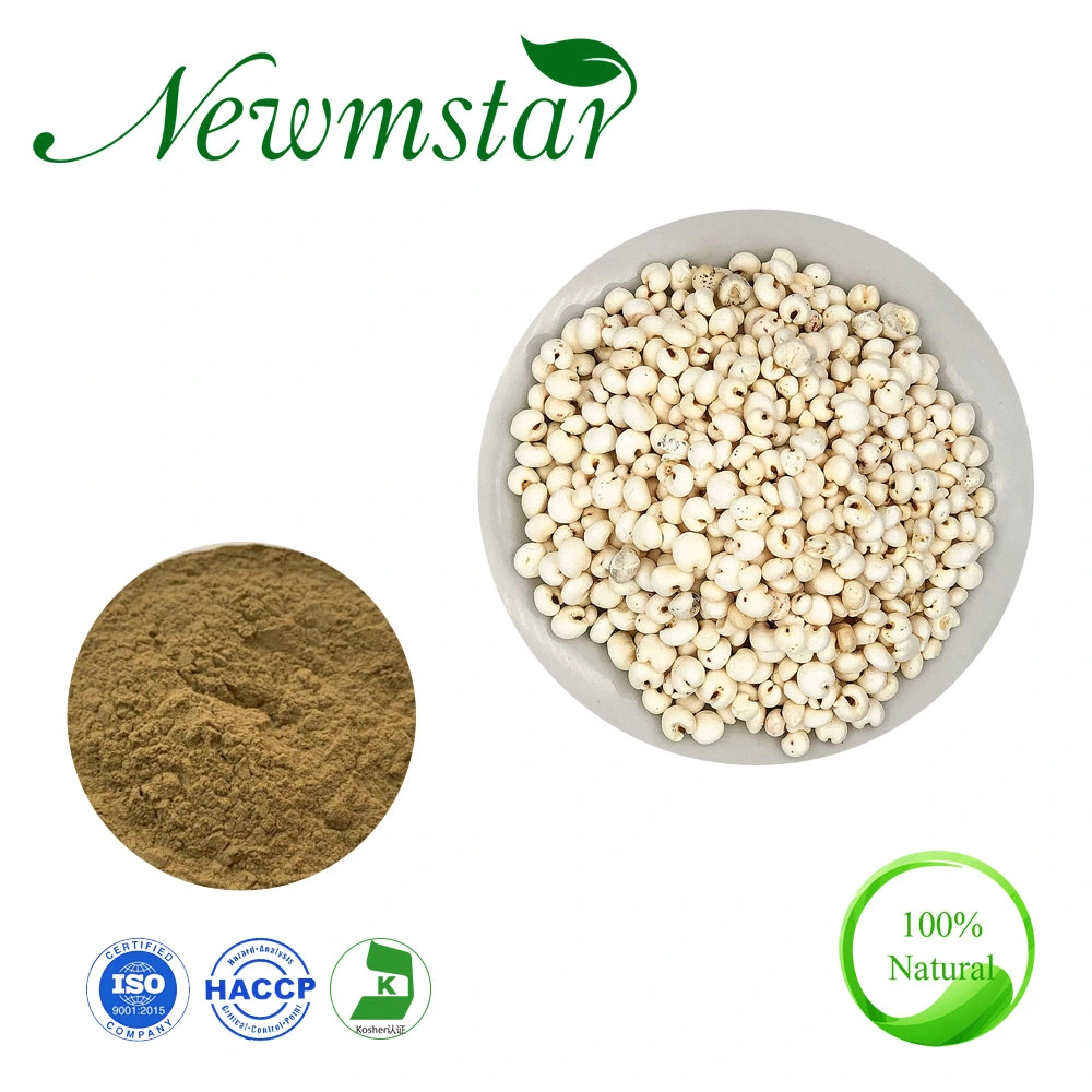 Coix Samen Coicis Extrakt Jobstears Samen Coicis Extrakt Ma-Yuen Jobstears Seed Extract