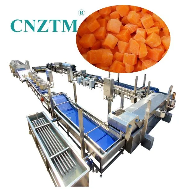 500-1000kg/H Frozen Carrot French Fries Root Vegetables Processing Line Machine