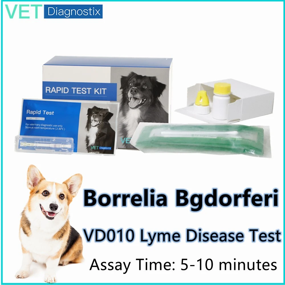 Kit de test Borrelia burgdorferi Test rapide d'anticorps vétérinaire pour la maladie de Lyme Kit