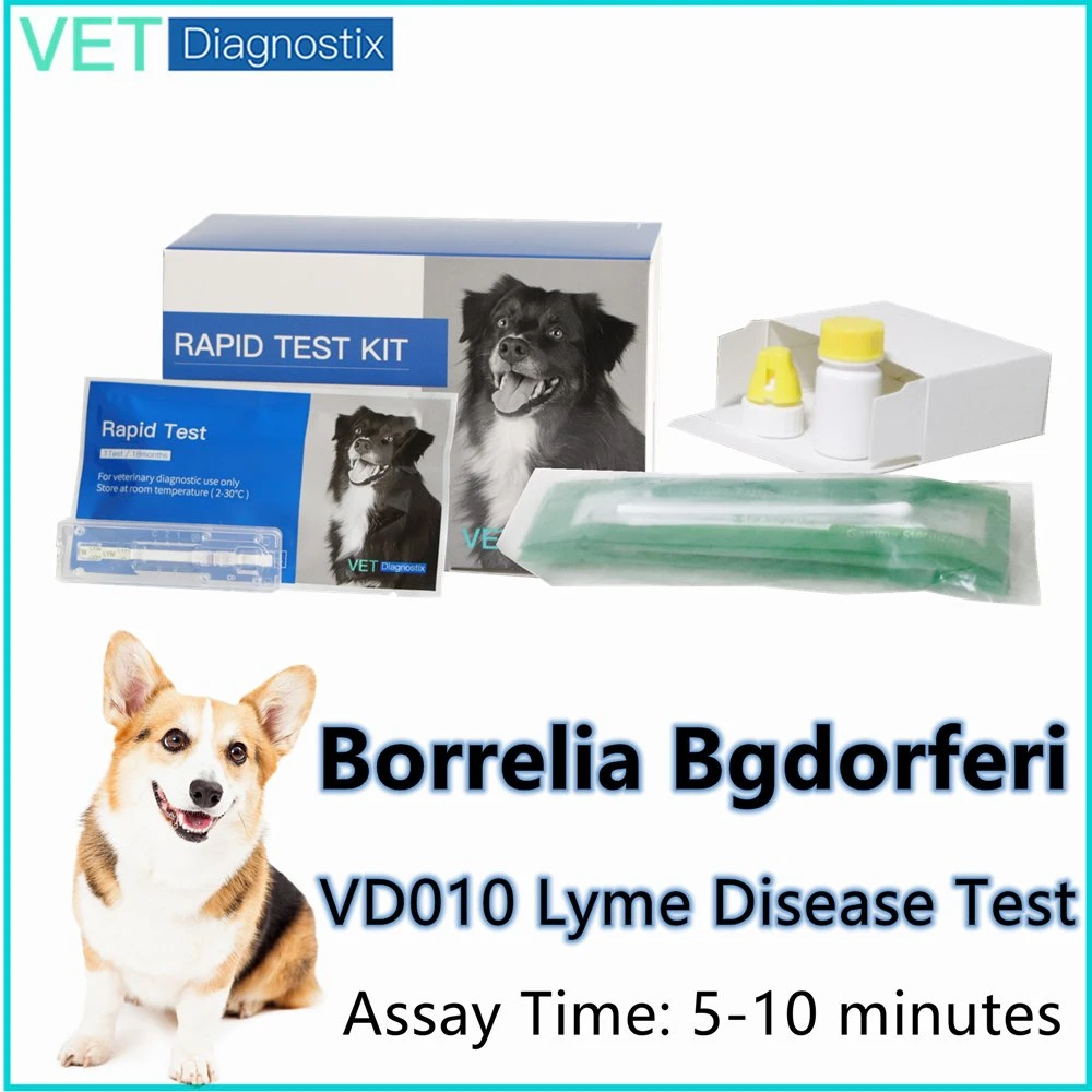 Borrelia burgdorferi Kit Teste de polícia a doença de Lyme rápida de anticorpos Kit de Teste